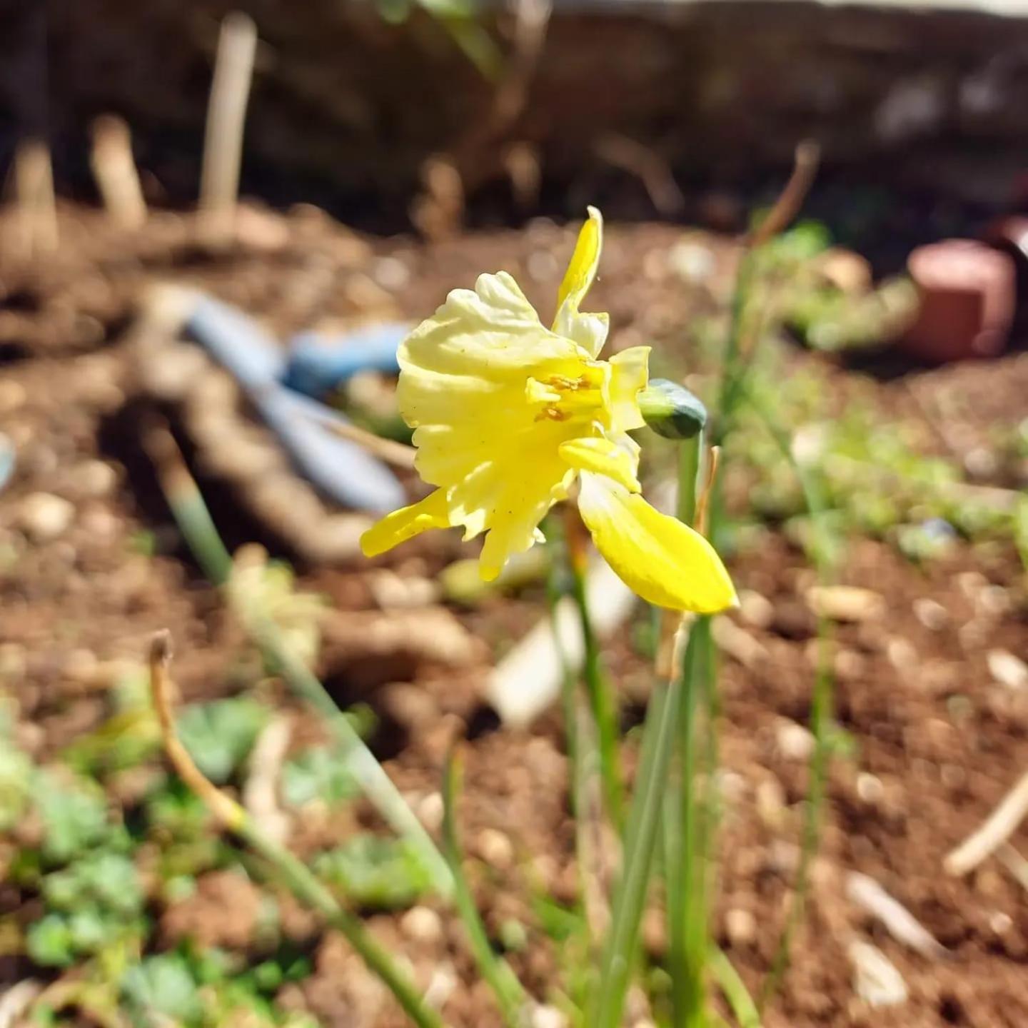 Villa Shuaipaj Gjirokastër Exteriér fotografie